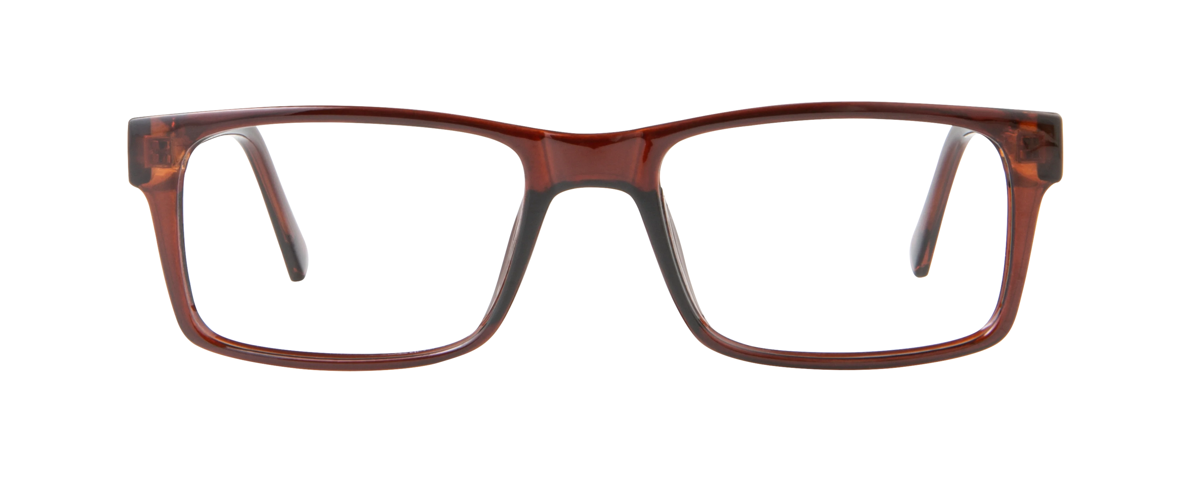 ECV DAMIEN - Image 7