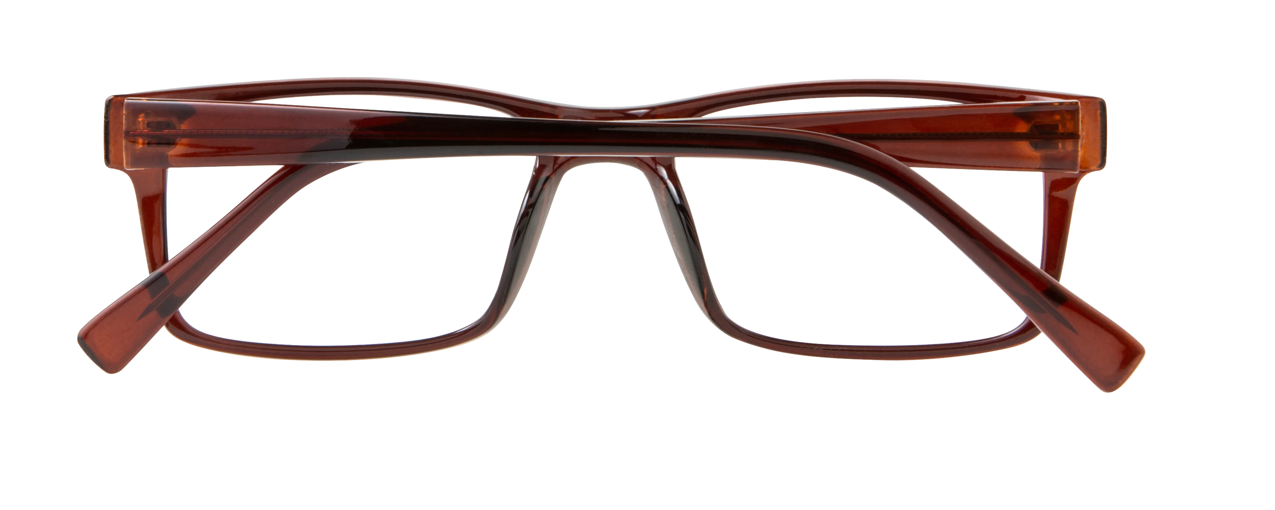 ECV DAMIEN - Image 8