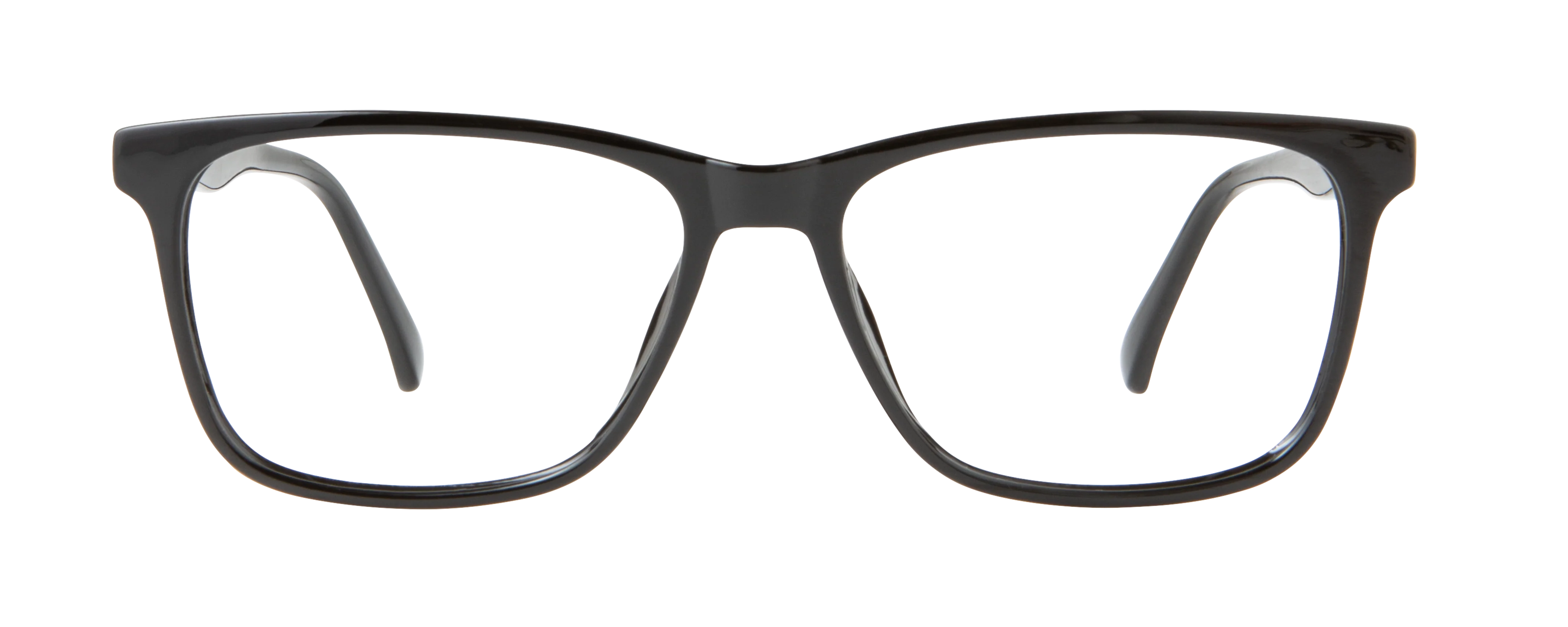 ECV JEROME - Image 7