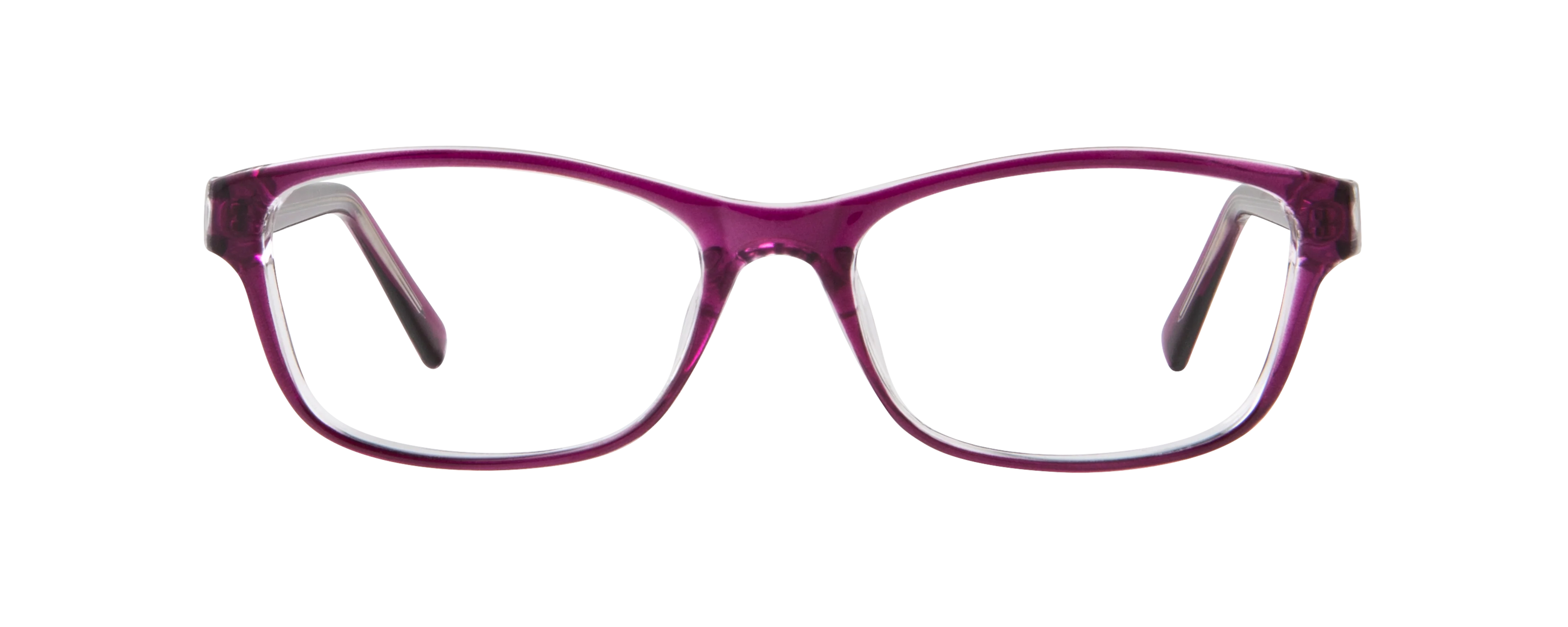 ECV LINDA - Image 3