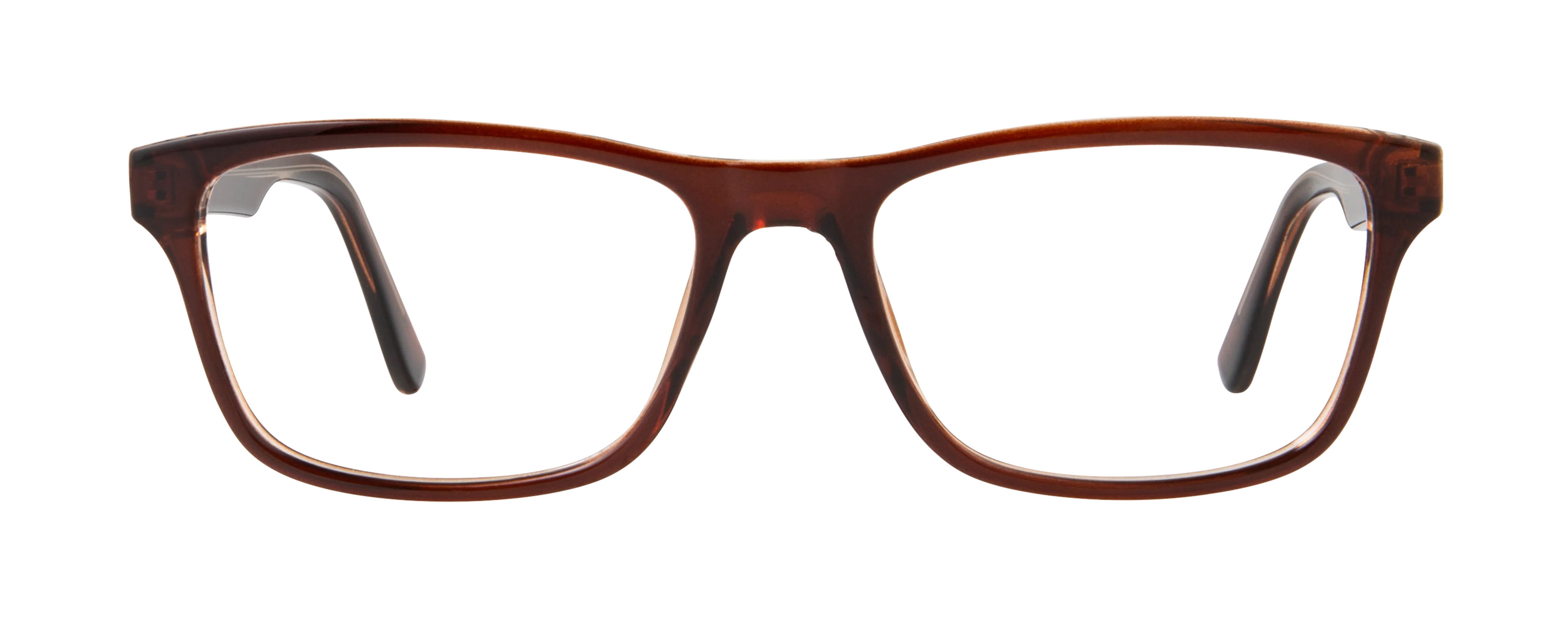 ECV LUCAS - Image 7
