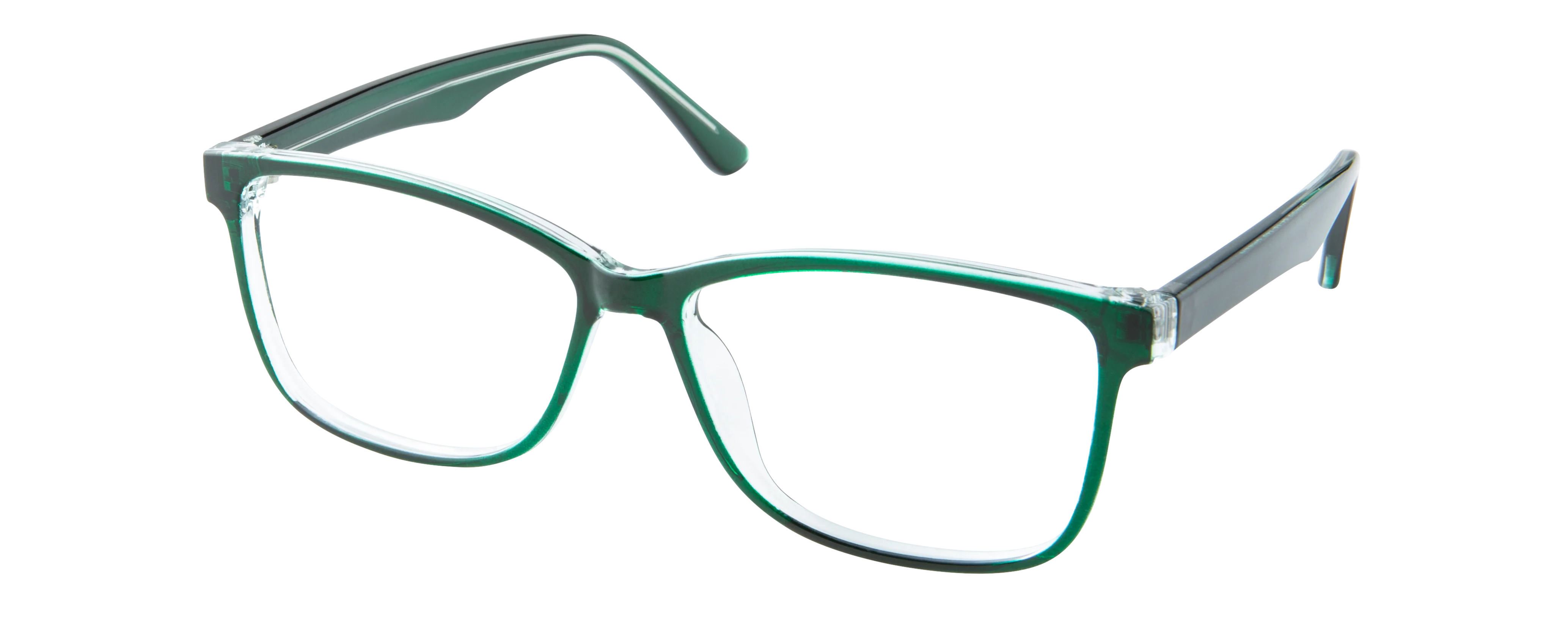 ECV MARGO - Image 6