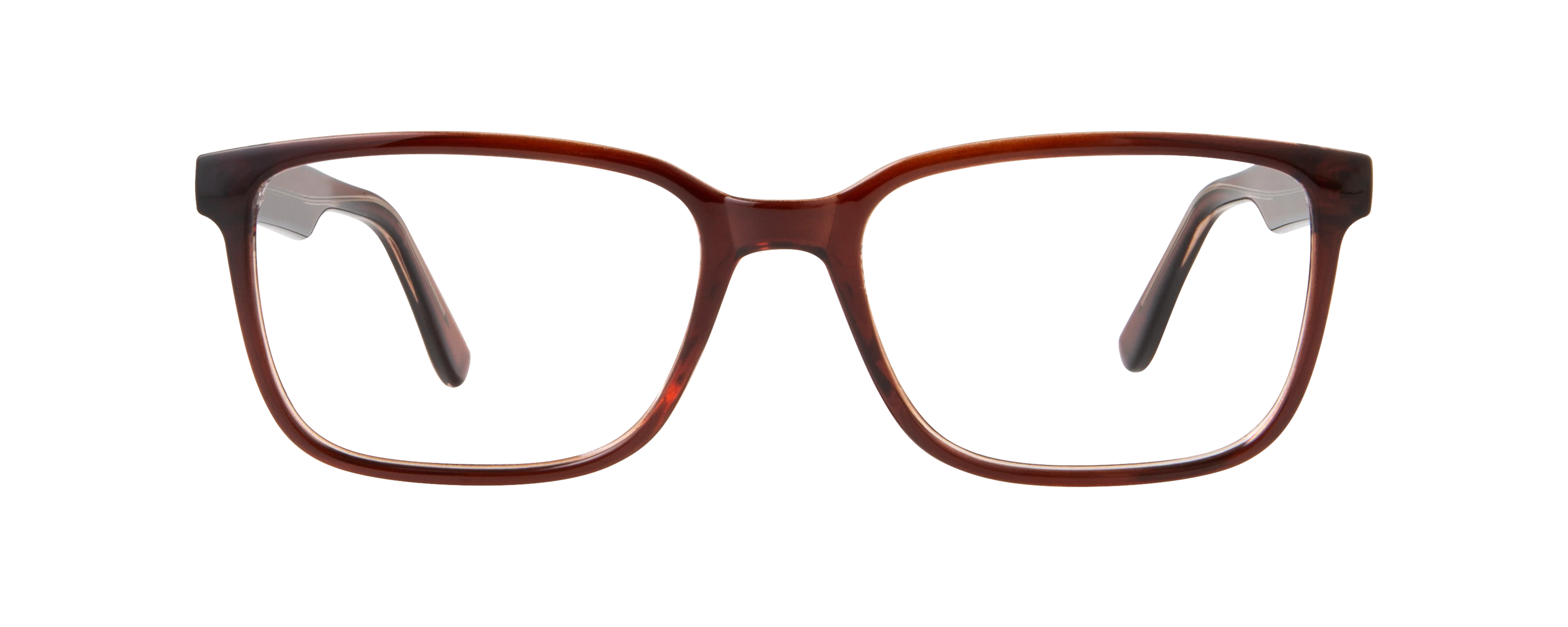 ECV SAMUEL - Image 3