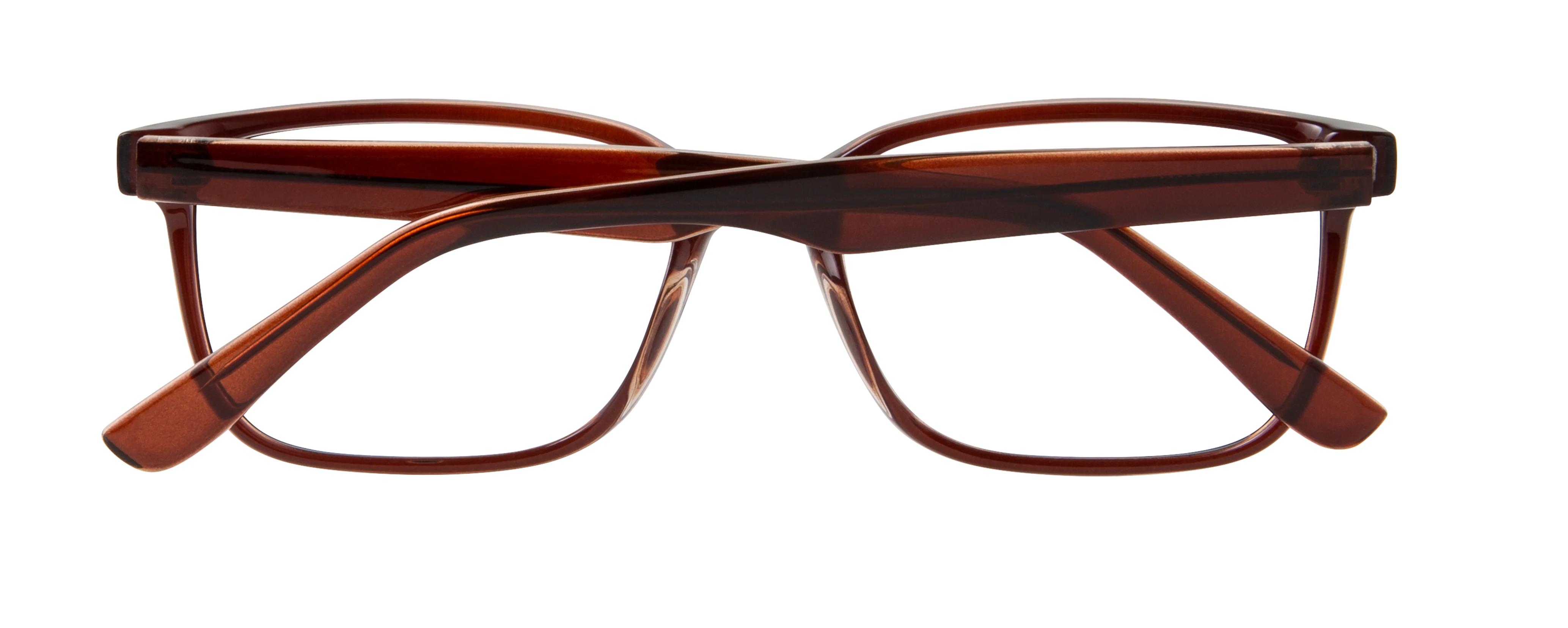ECV SAMUEL - Image 4